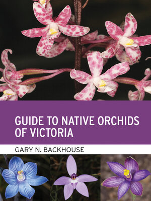 cover image of Guide to Native Orchids of Victoria